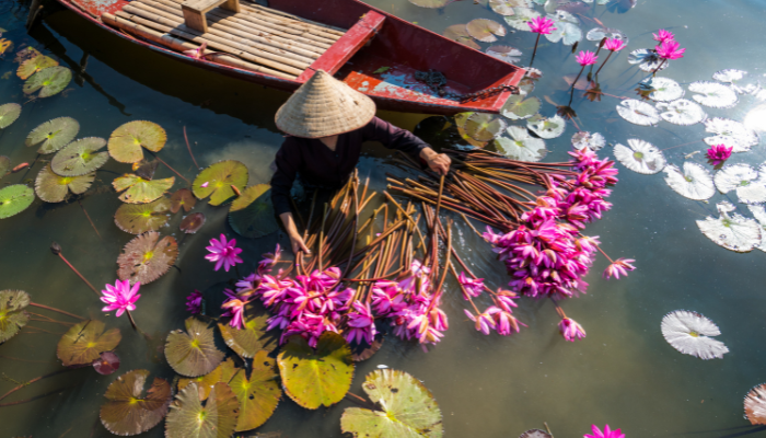 VIETNAM Y CAMBOYA